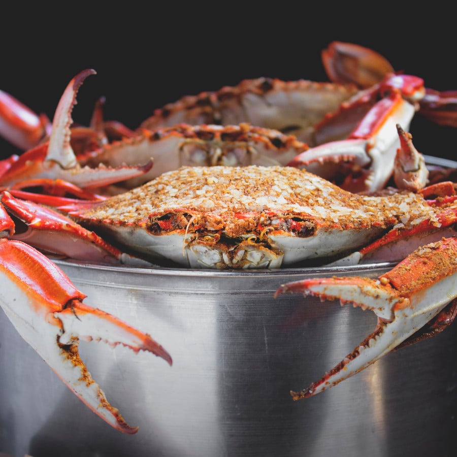 Jumbo Male Crabs (Half Dozen) - Jimmys Famous Seafood