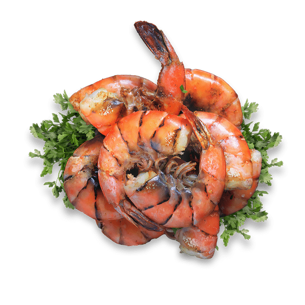 Steamed Shrimp_Transparent