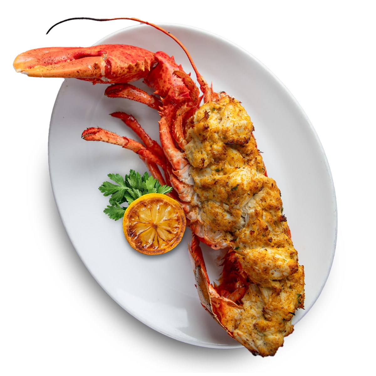 Half Stuffed Lobster