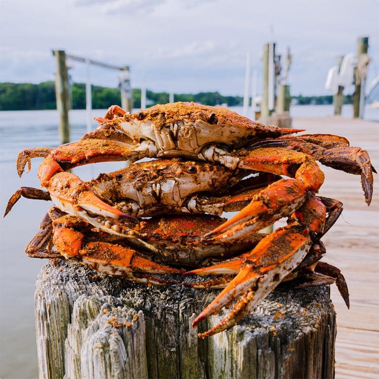 Steamed Crabs Jimmys Famous Seafood 0043