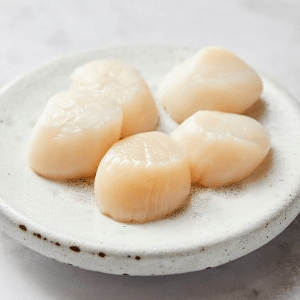 Scallops_4