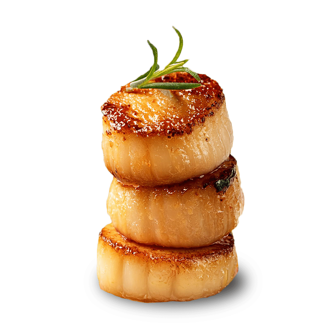 Scallops_Transparent