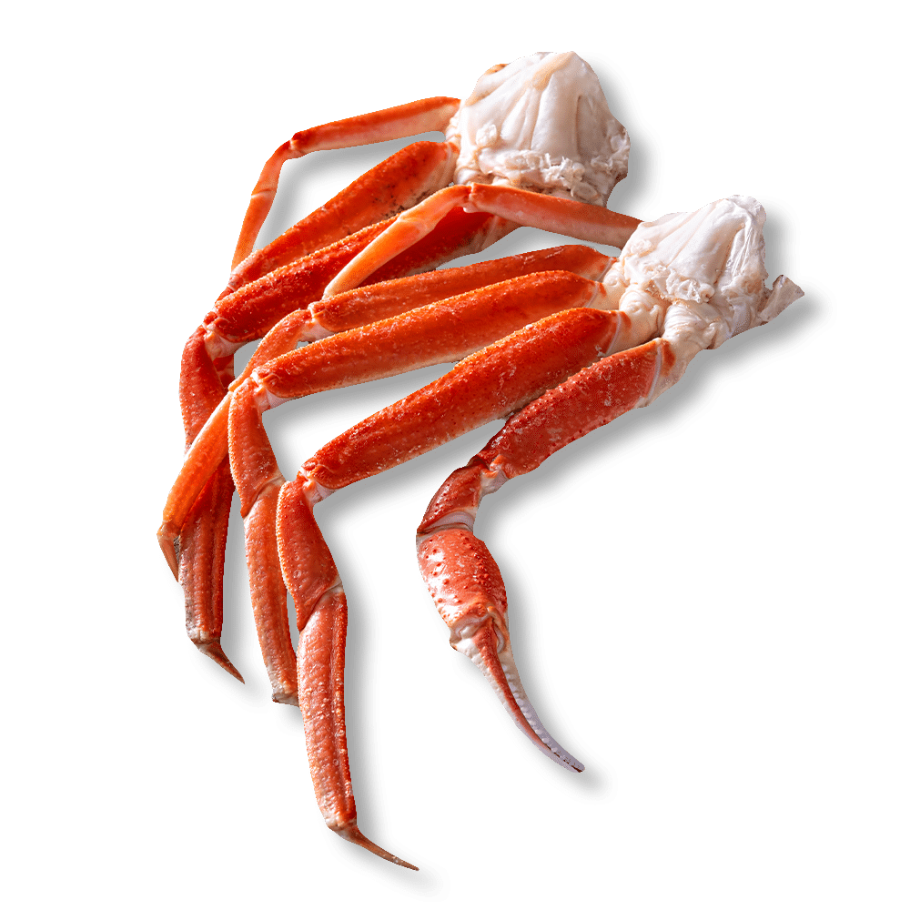 Snow Crabs Transparent