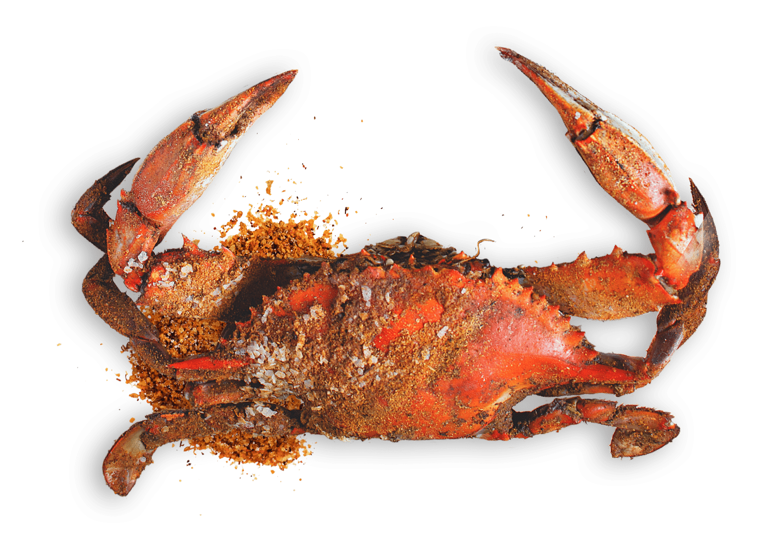 Crab Rave PNG