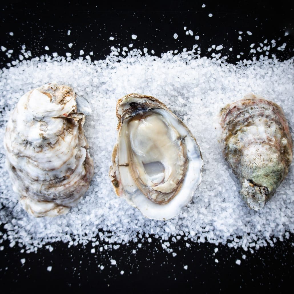 Live Oysters Jimmys Famous Seafood