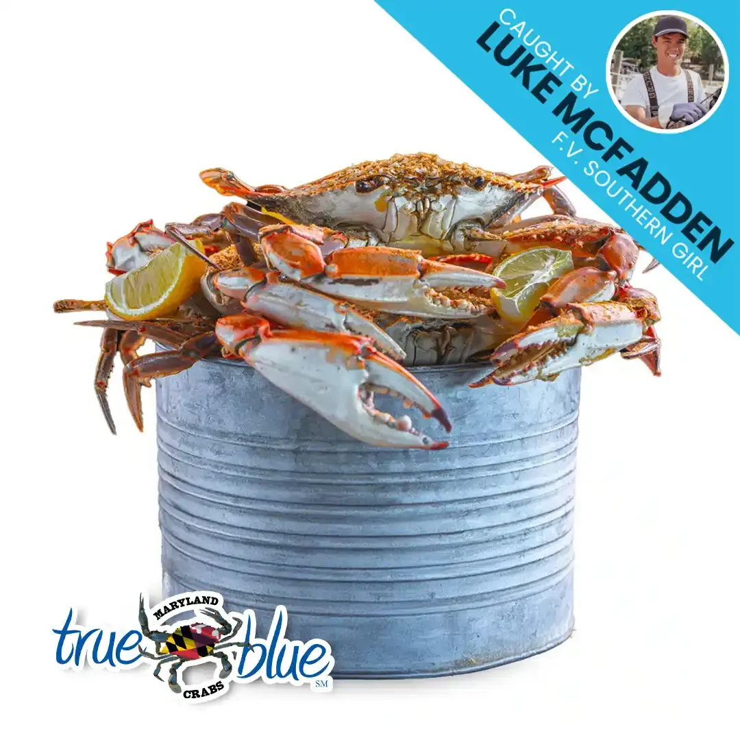 Luke-Mcfadden-Steamed-Crabs