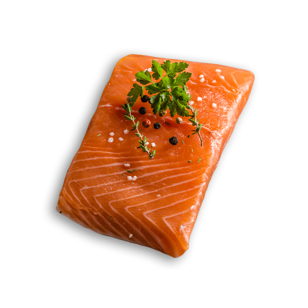 Salmon_Transparent