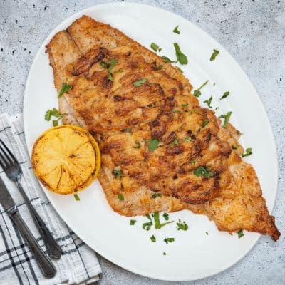 flounder