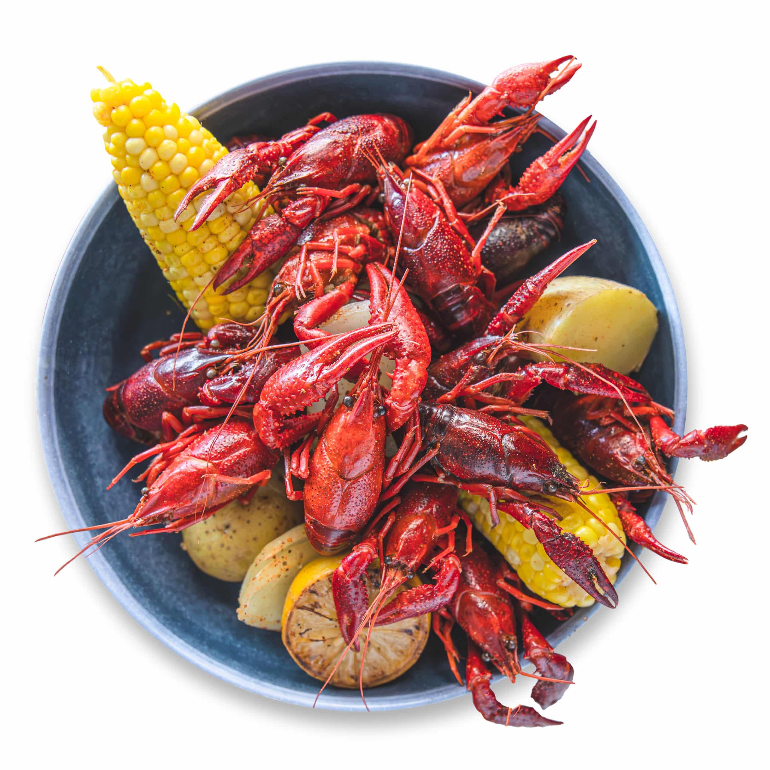 Crawfish-2-2_transparent