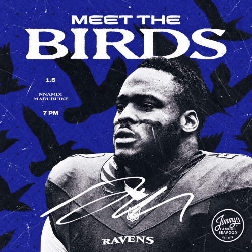 Meet The Birds Nnamdi Madubuike Jan-5